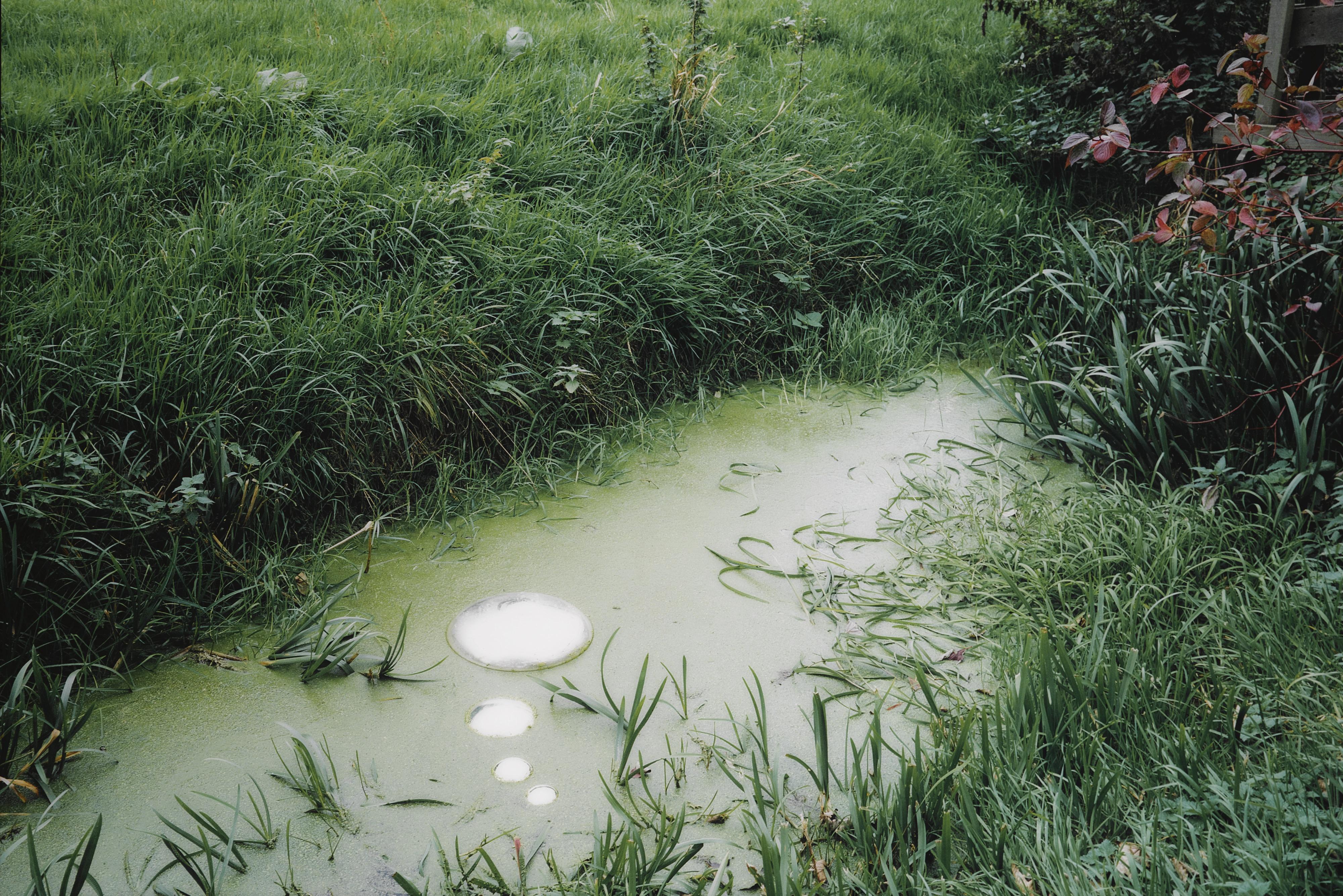 Marijke Van Warmerdam - In Thought (2002)