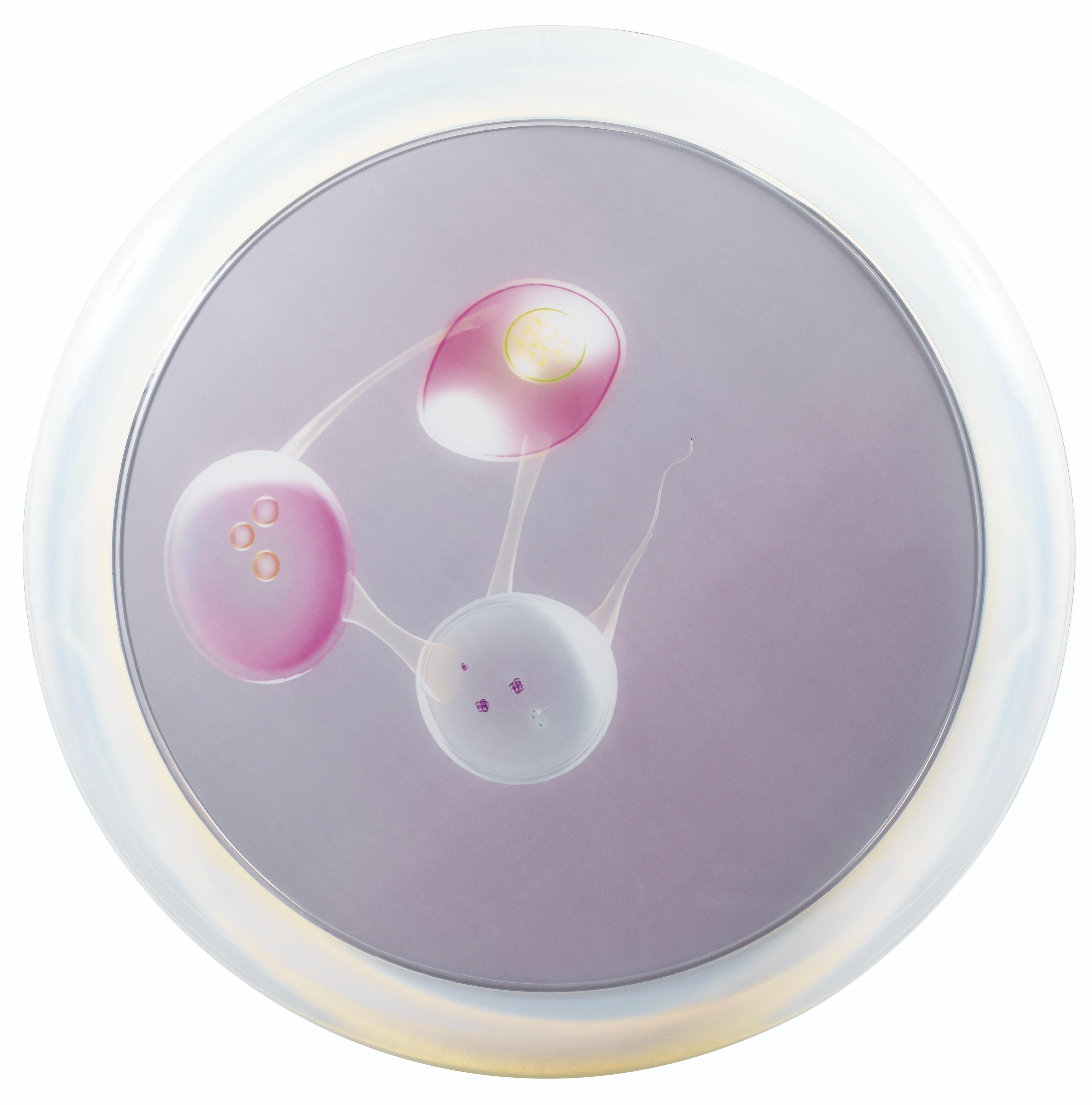 Mariko Mori - Connected World 5