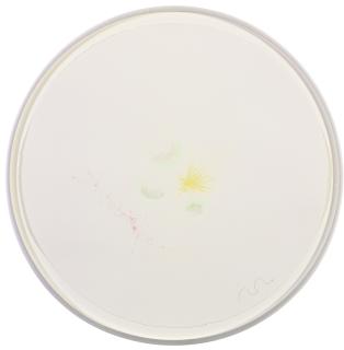 Mariko Mori - Connected World (Drawing Ii)