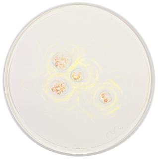 Mariko Mori - Connected World (Drawing Iii)