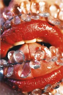 Marilyn Minter - Barbed