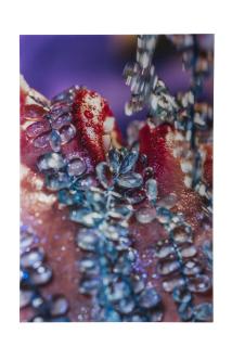 Marilyn Minter - Blue Shower