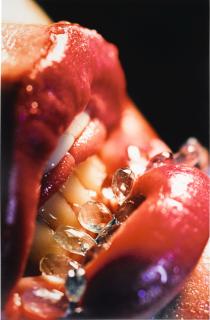 Marilyn Minter - Bridle