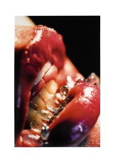 Marilyn Minter - Bridle