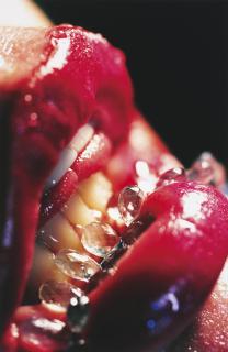 Marilyn Minter - Bridle