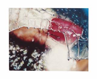 Marilyn Minter - Cracked Up