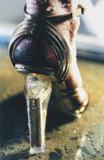 Marilyn Minter - Goldi