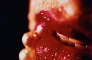 Marilyn Minter - \