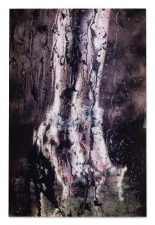 Marilyn Minter - Liquid Sky
