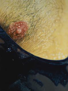 Marilyn Minter - Slick