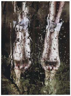 Marilyn Minter - Solaris