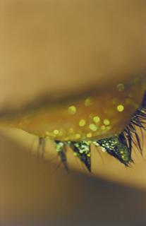 Marilyn Minter - Sparks