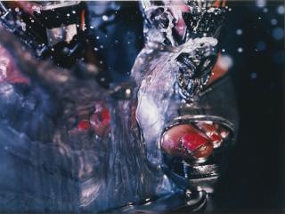 Marilyn Minter - Swell