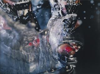 Marilyn Minter - Swell