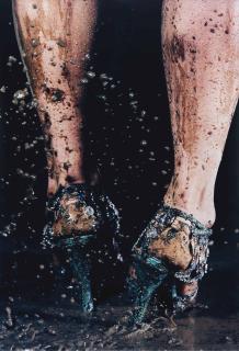 Marilyn Minter - Twins, 2005