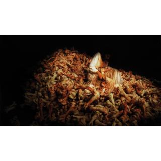 Marina Abramovic - Balkan Baroque, 1997