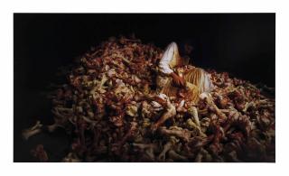 Marina Abramovic - Balkan Baroque I