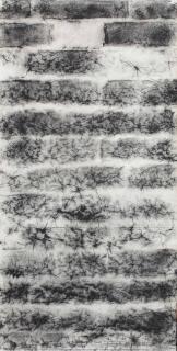 Marina Abramovic - The Great Wall