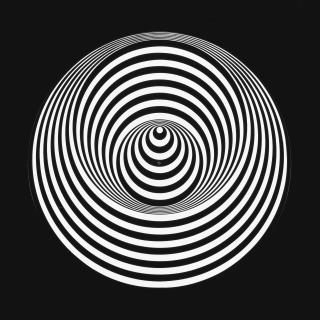 Marina Apollonio - Dinamica circolare 9B