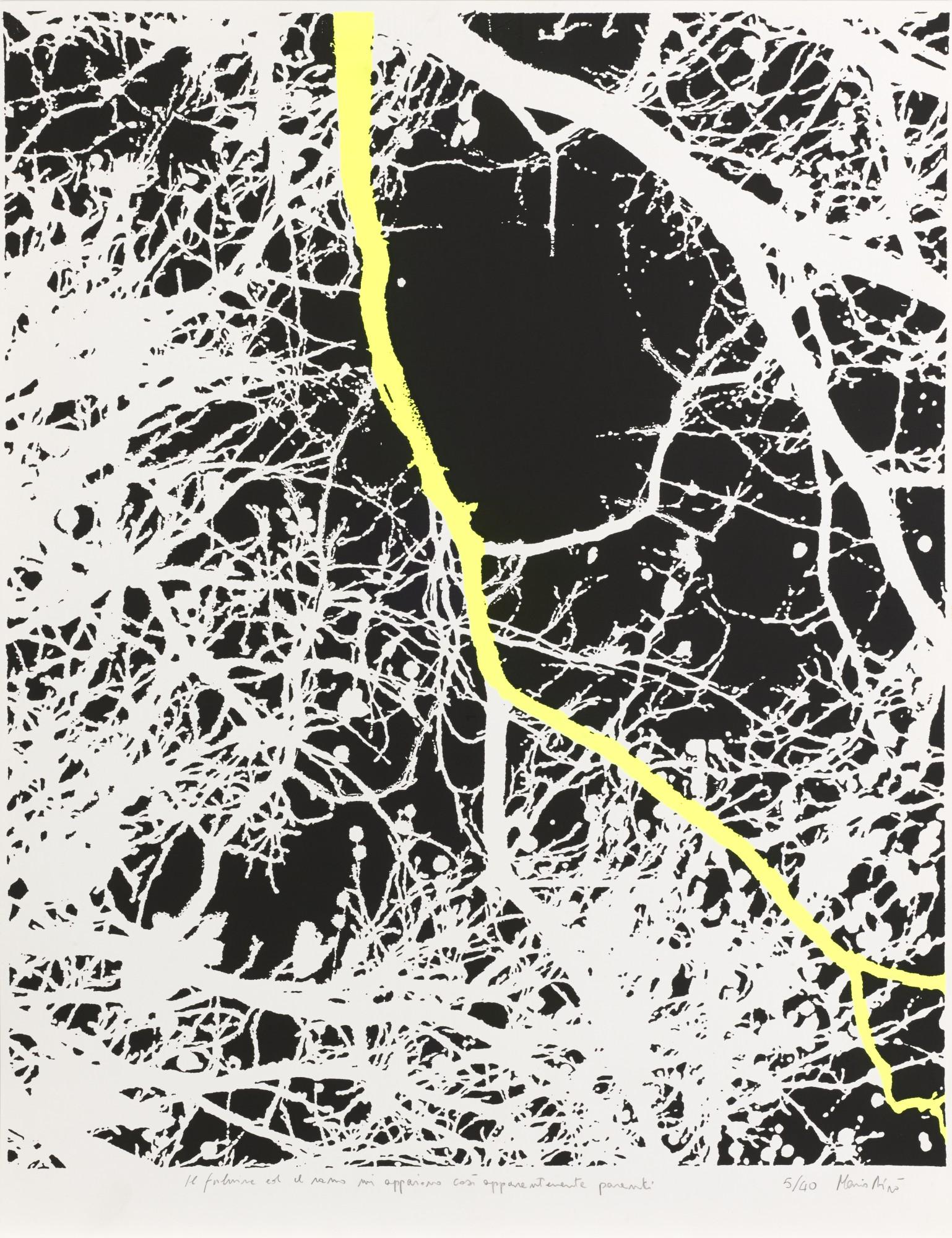 Mario Airò - Il Ramo E Il Fulmine Mi Appaiono Così Apparentemente Parenti