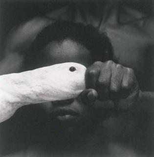 Mario Crevo Neto - Ode, 1989