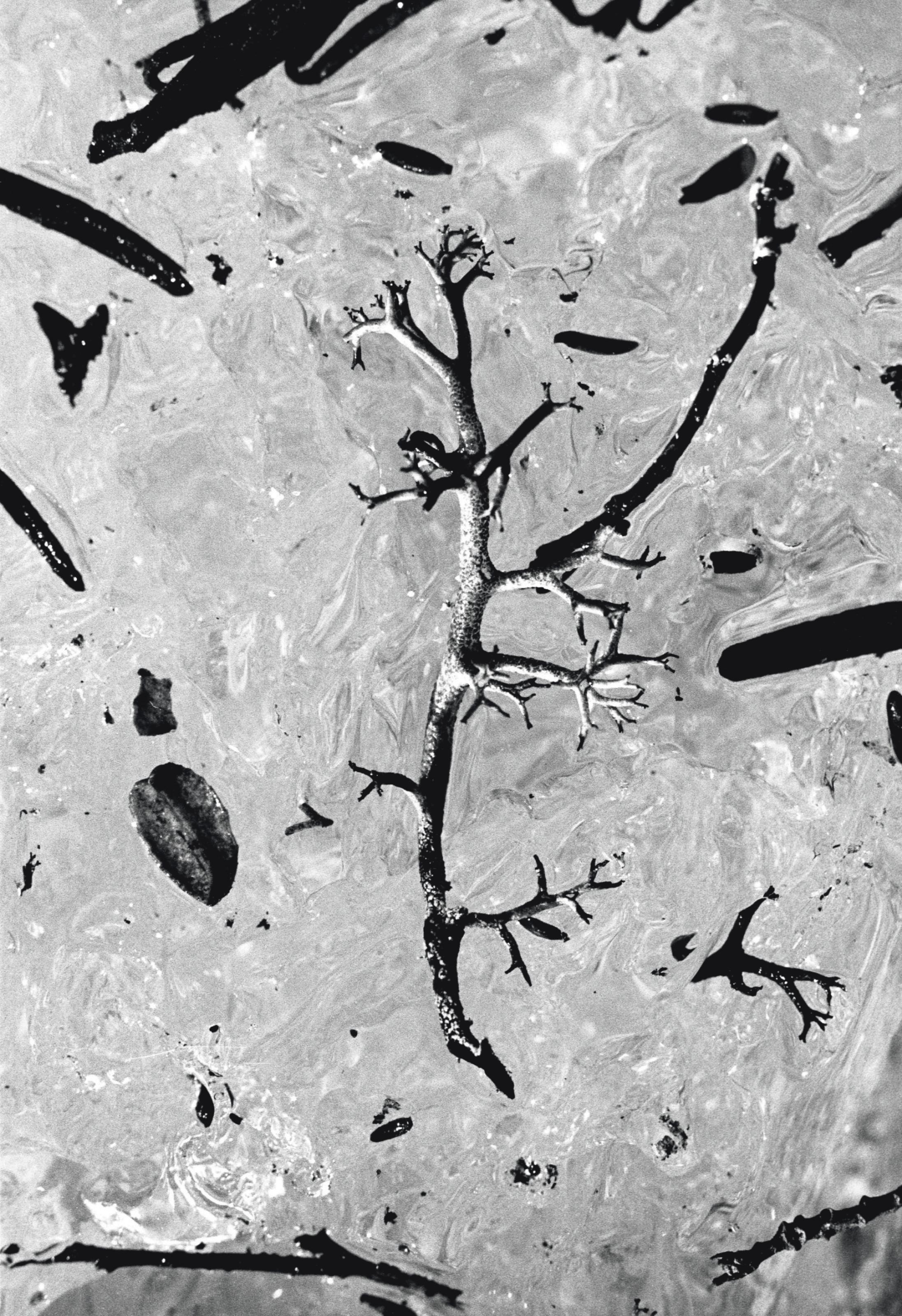 Mario de Biasi - Finlandia (Finland), 1971