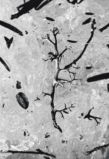 Mario de Biasi - Finlandia (Finland), 1971