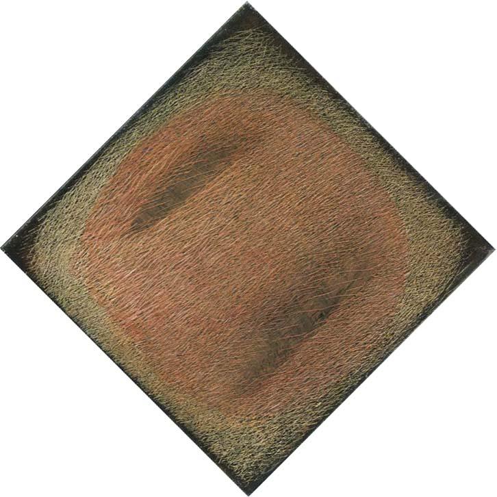 Mario De Luigi - G. R. 207