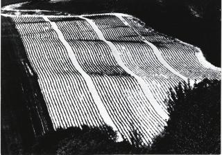 Mario Giacomelli - Come pagina di giornale