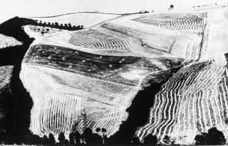 Mario Giacomelli - Il Paesaggio; Vita d\'Ospizio