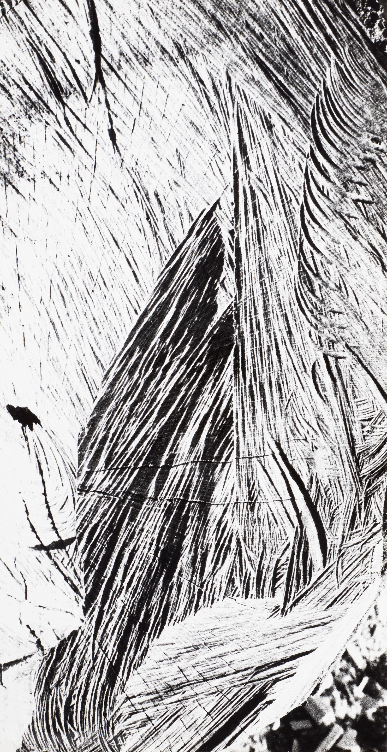 Mario Giacomelli - Landscape (from \'Paesaggio\')