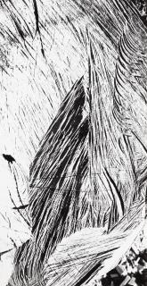 Mario Giacomelli - Landscape (from \'Paesaggio\')