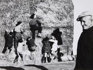 Mario Giacomelli - Ohne Titel (aus der Serie: La buona terra)