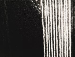 Mario Giacomelli - Presa Di Coscienza Sulla Natura, 1978