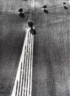 Mario Giacomelli - Selected images, 1951