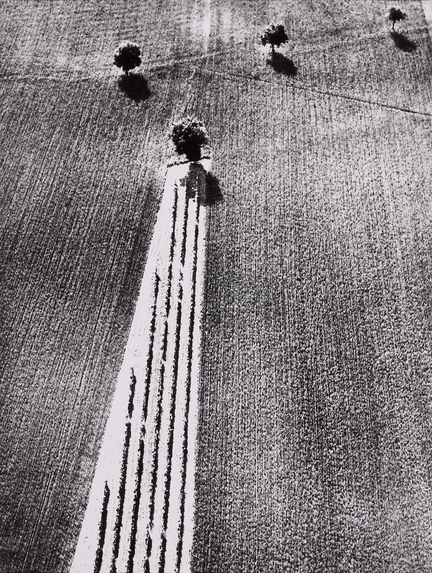 Mario Giacomelli - Selected Images (Aerial Landscapes)