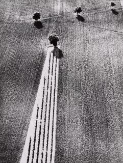 Mario Giacomelli - Selected Images (Aerial Landscapes)