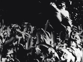 Mario Giacomelli - Un uomo una donna un amore (A man, a woman, one love), circa 1960-1961