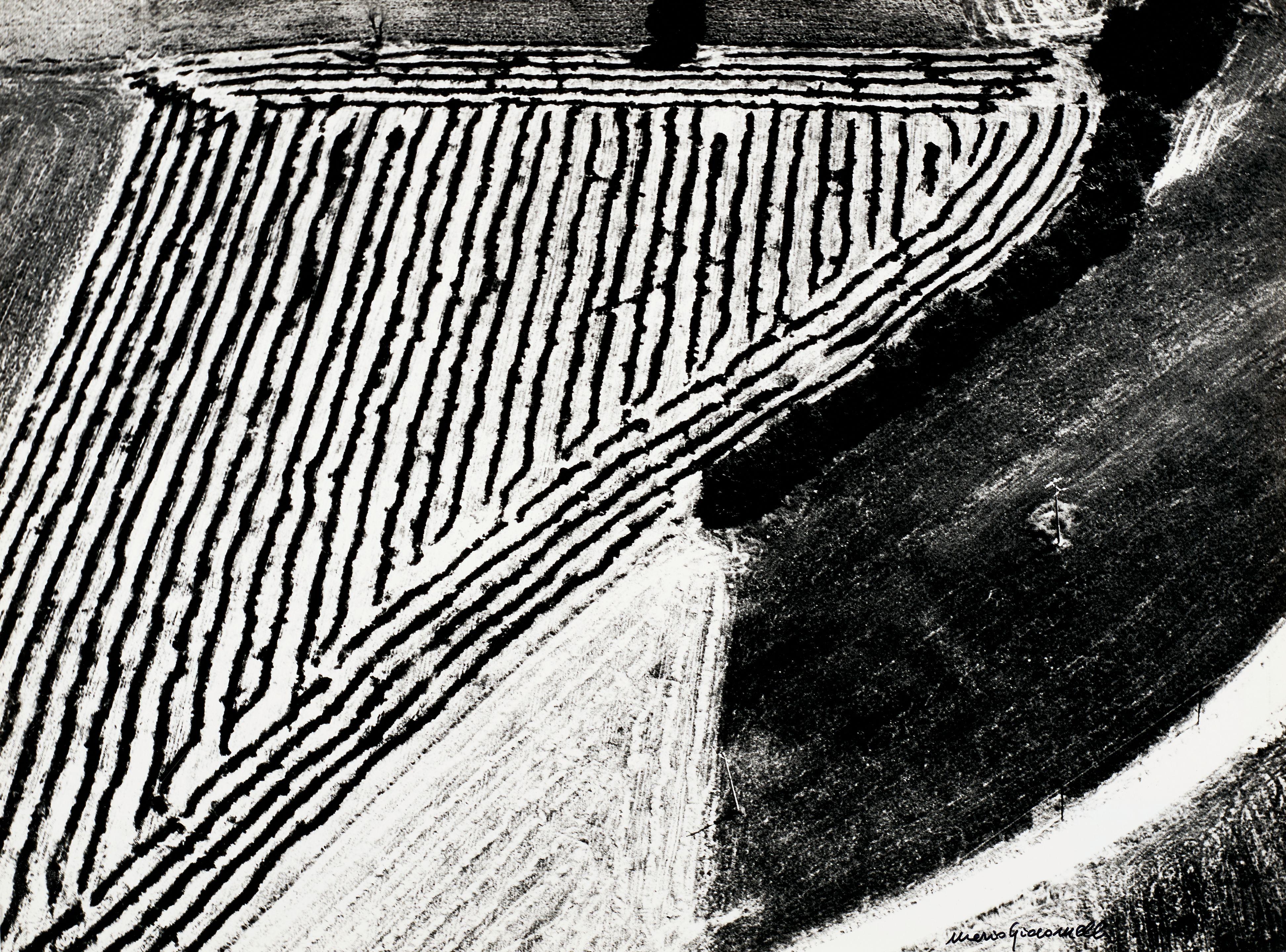 Mario Giacomelli - Untitled (from Presa di Coscienza Sulla Natura)