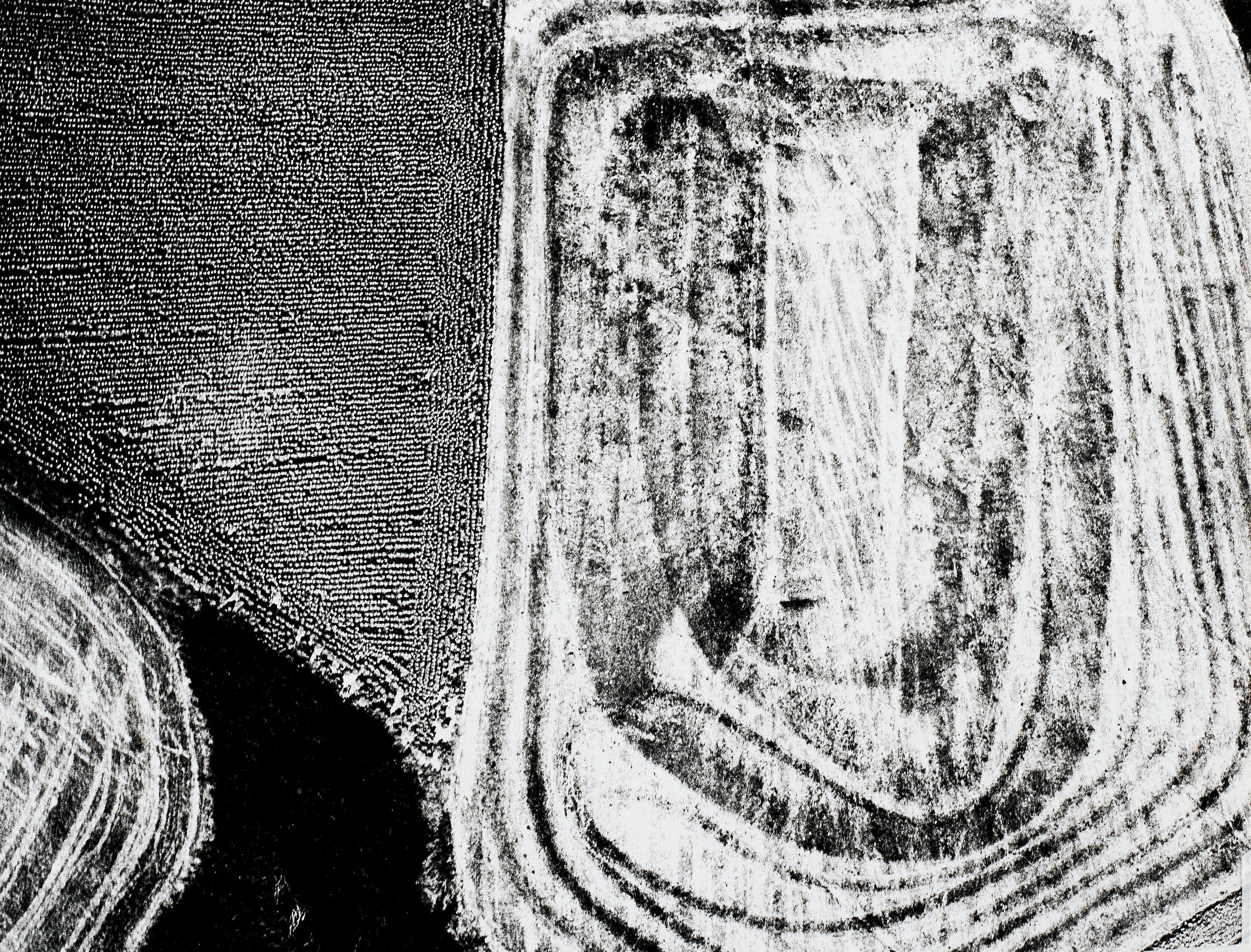 Mario Giacomelli - Untitled (from Presa di Coscienza Sulla Natura)