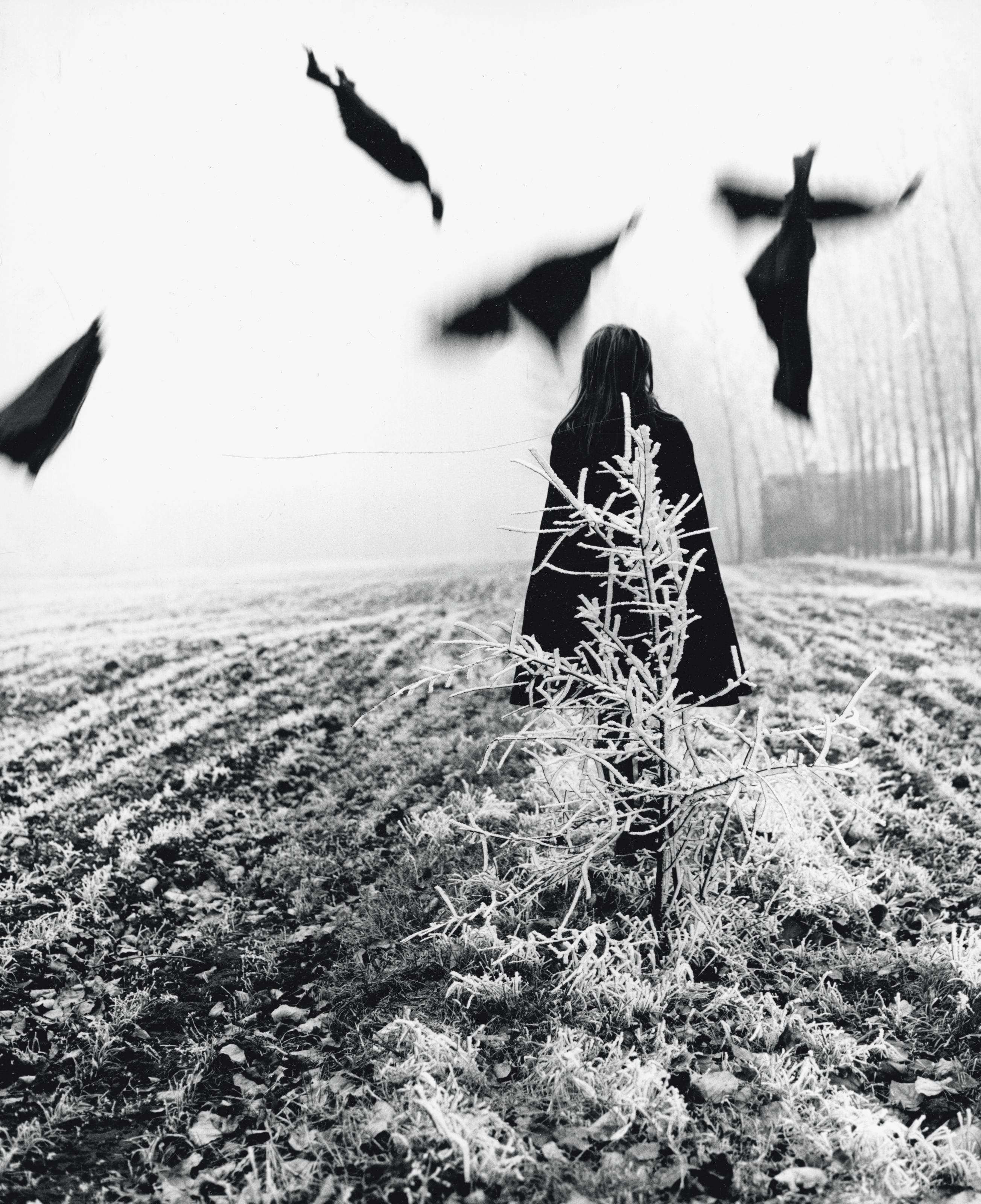 Mario Lasalandra - Spaventapasseri (Scarecrow), 1968