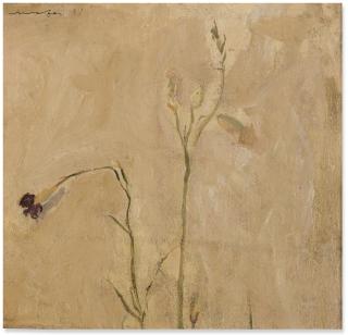 Mario Mafai - Fiori Secchi