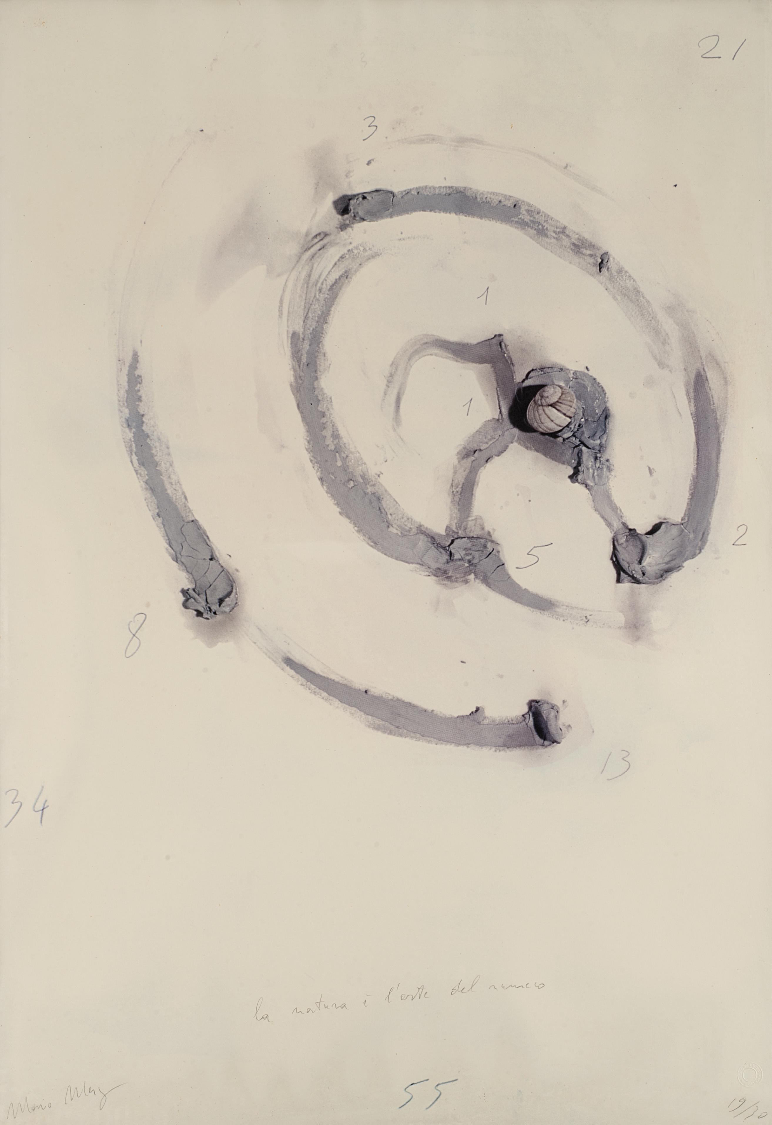 Mario Merz - La natura è l\'arte del numero