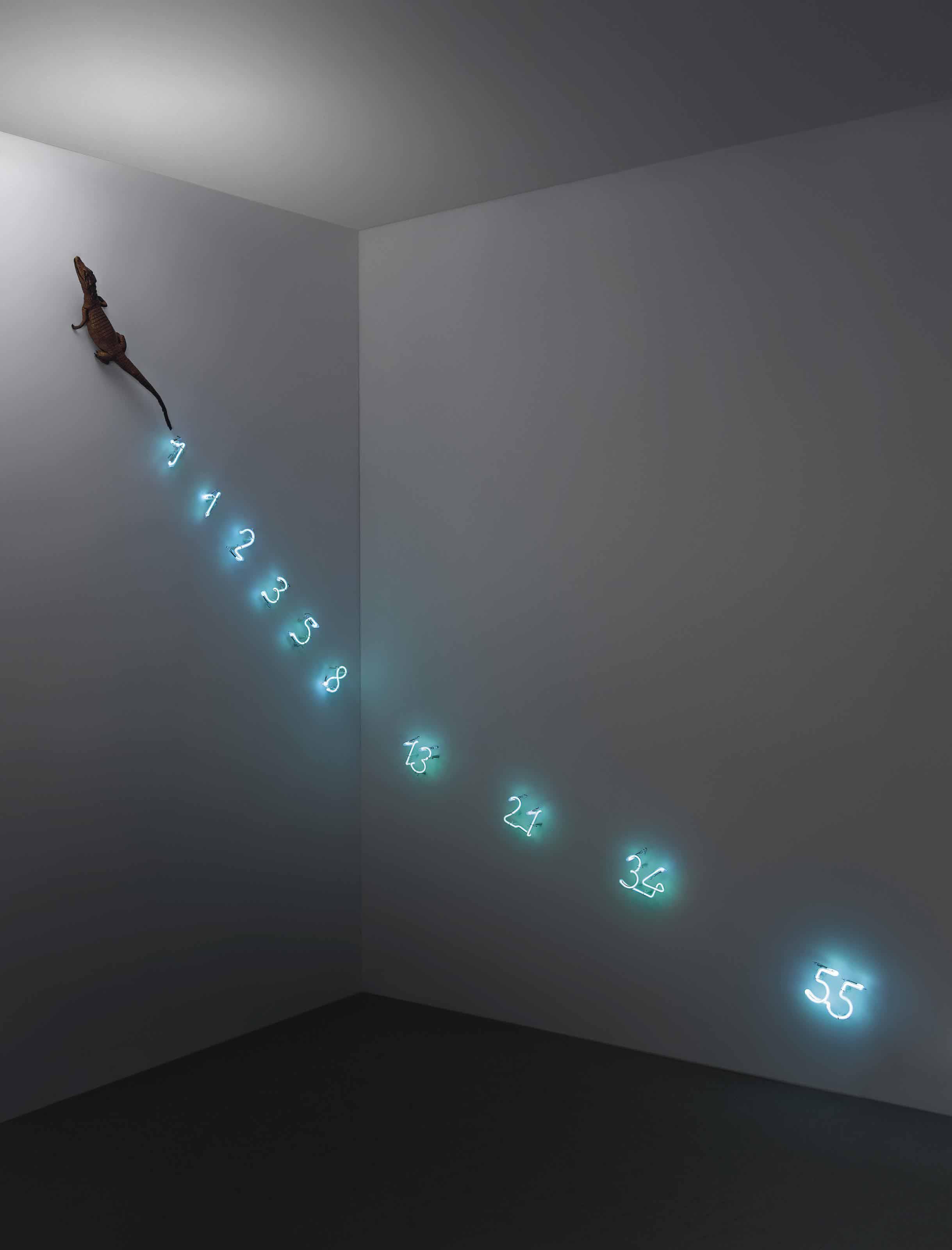 Mario Merz - Piccolo caimano