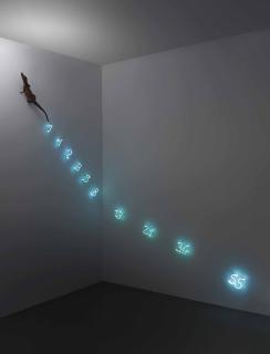 Mario Merz - Piccolo caimano