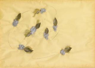 Mario Merz - Proliferazione Laterale