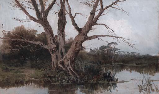 Mario Mirabella - Riflessi