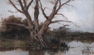 Mario Mirabella - Riflessi