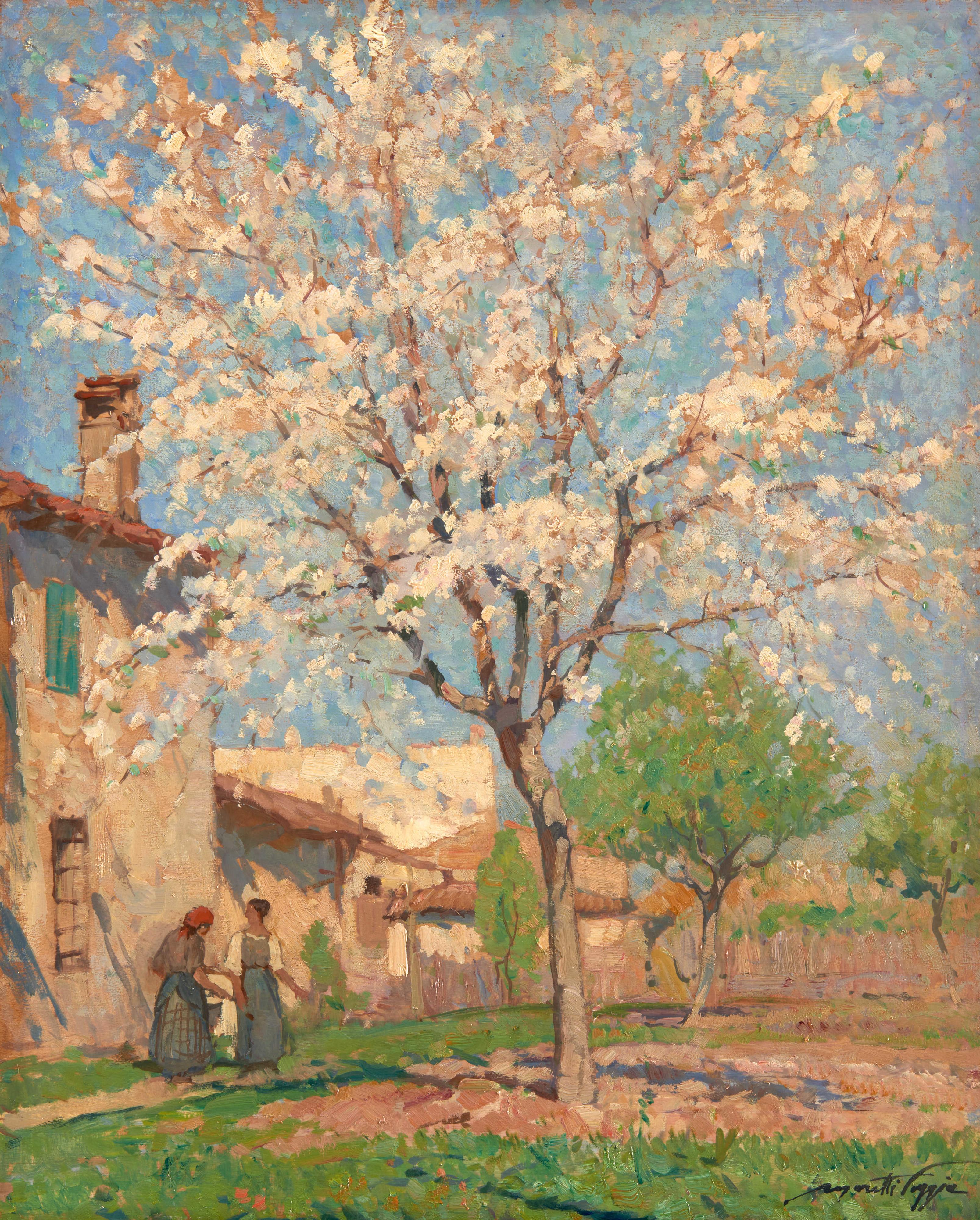 Mario Moretti Foggia - Ciliegio in fiore