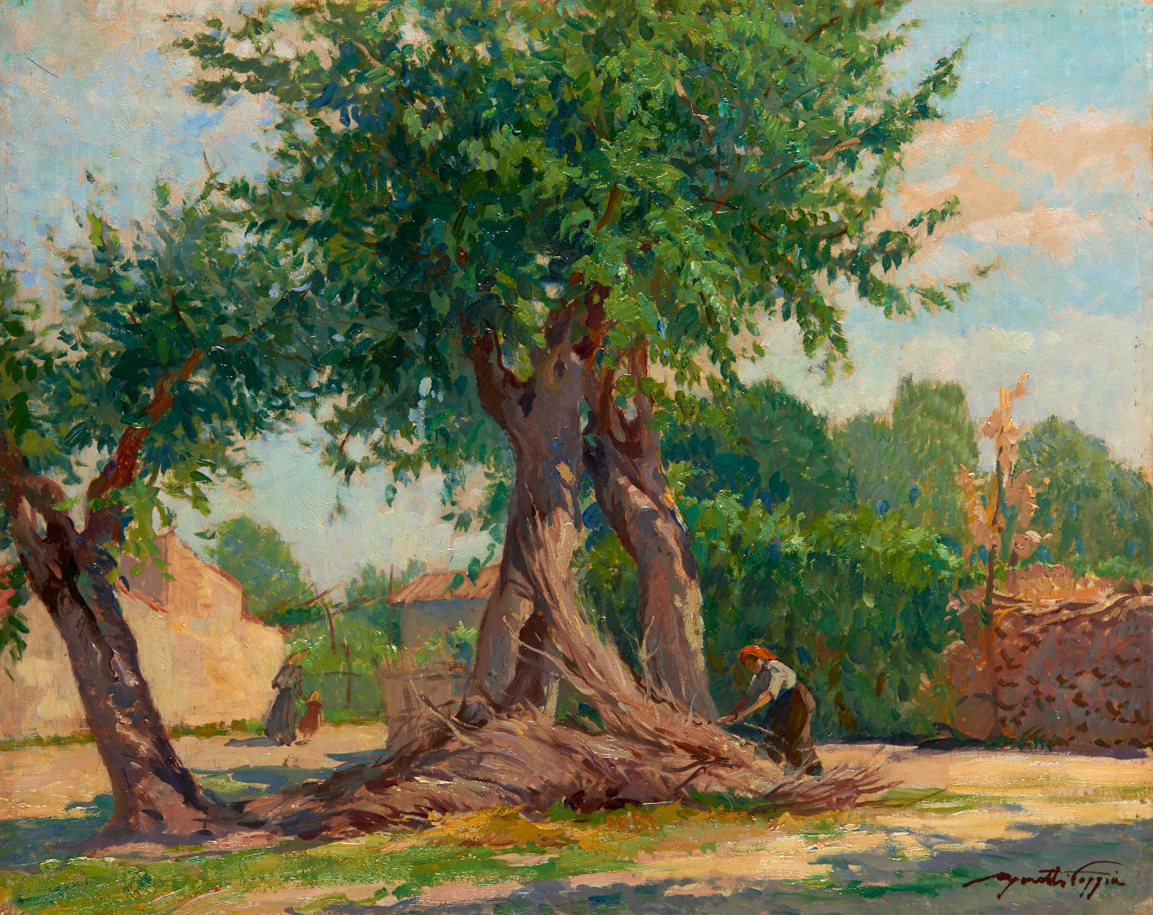 Mario Moretti Foggia - Vecchi gelsi